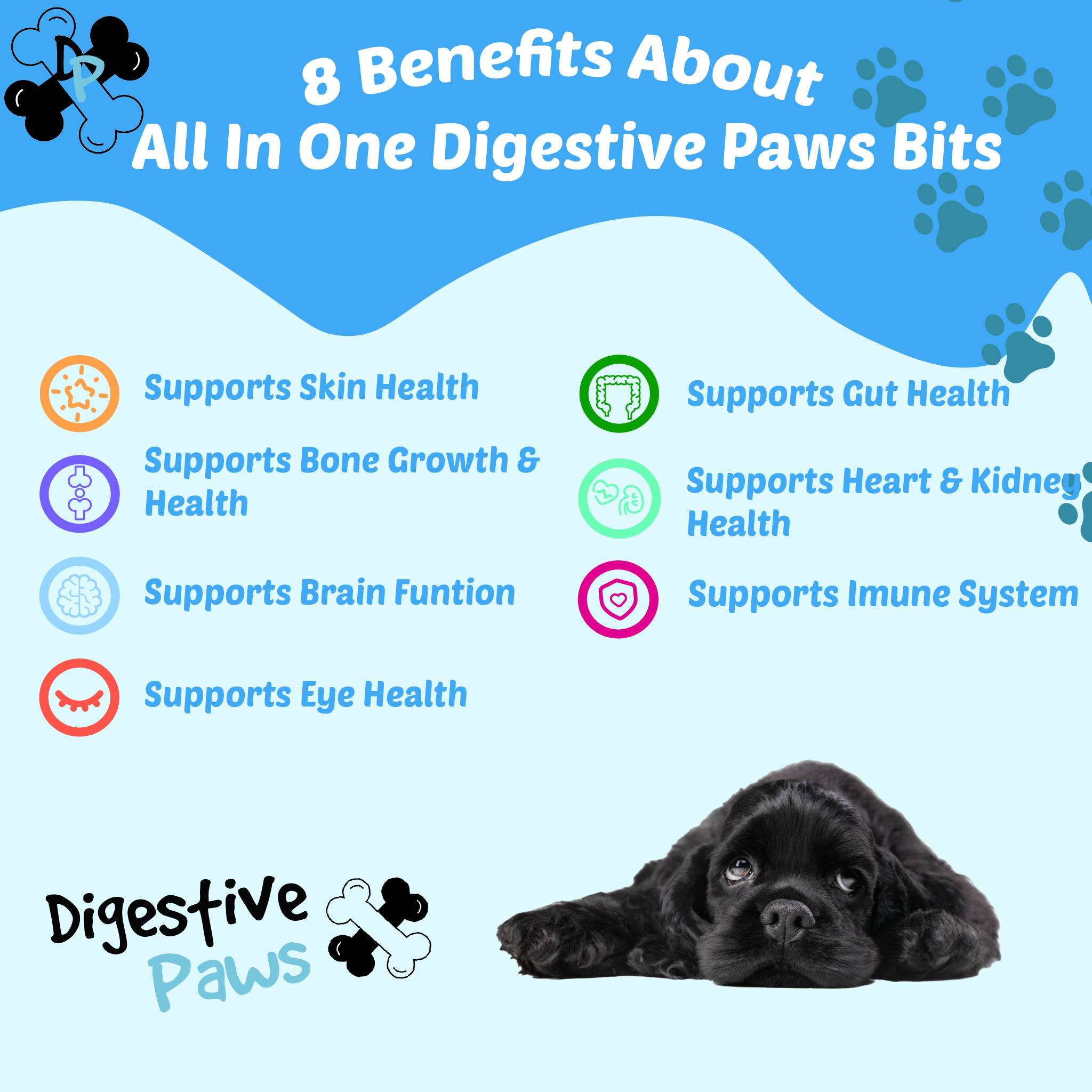 All In One Soft Chews