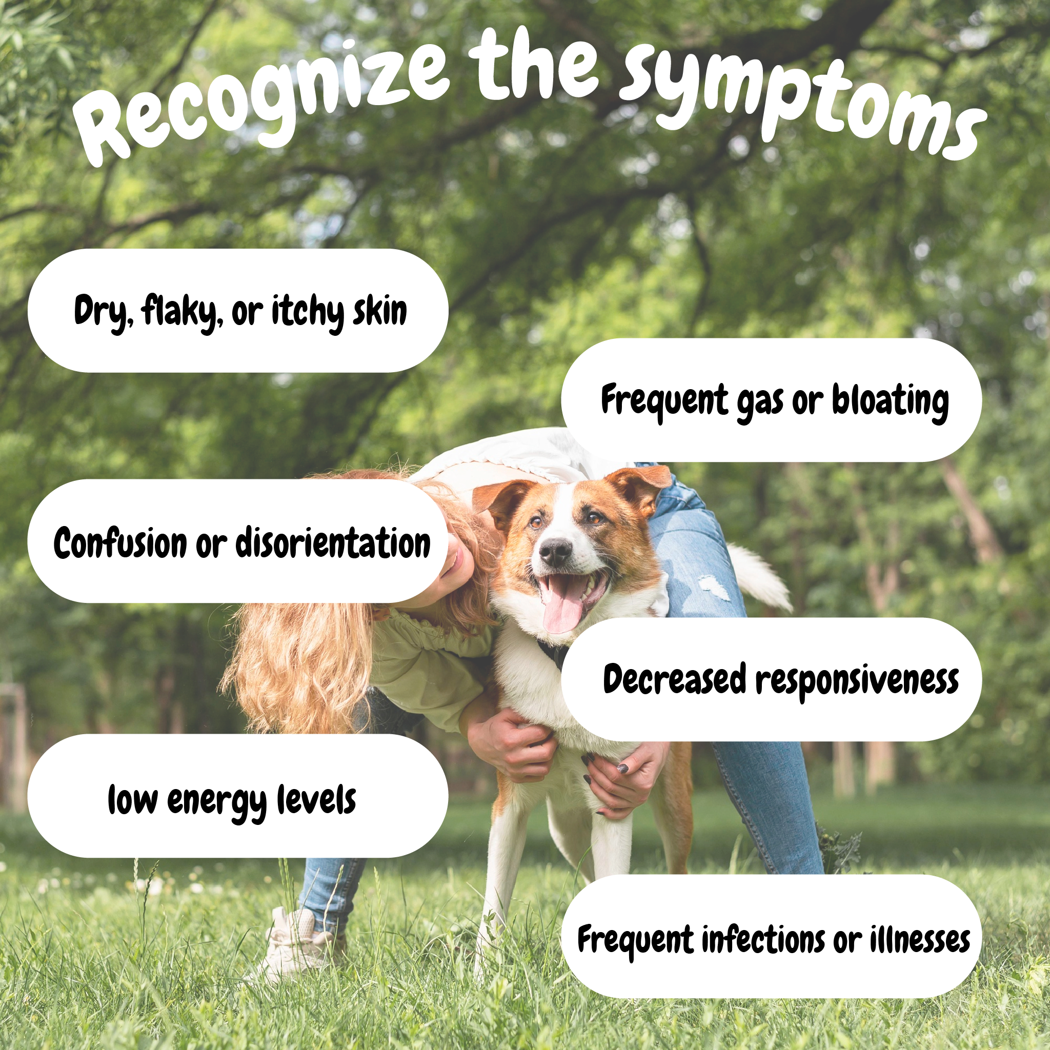 All In One Soft Chews