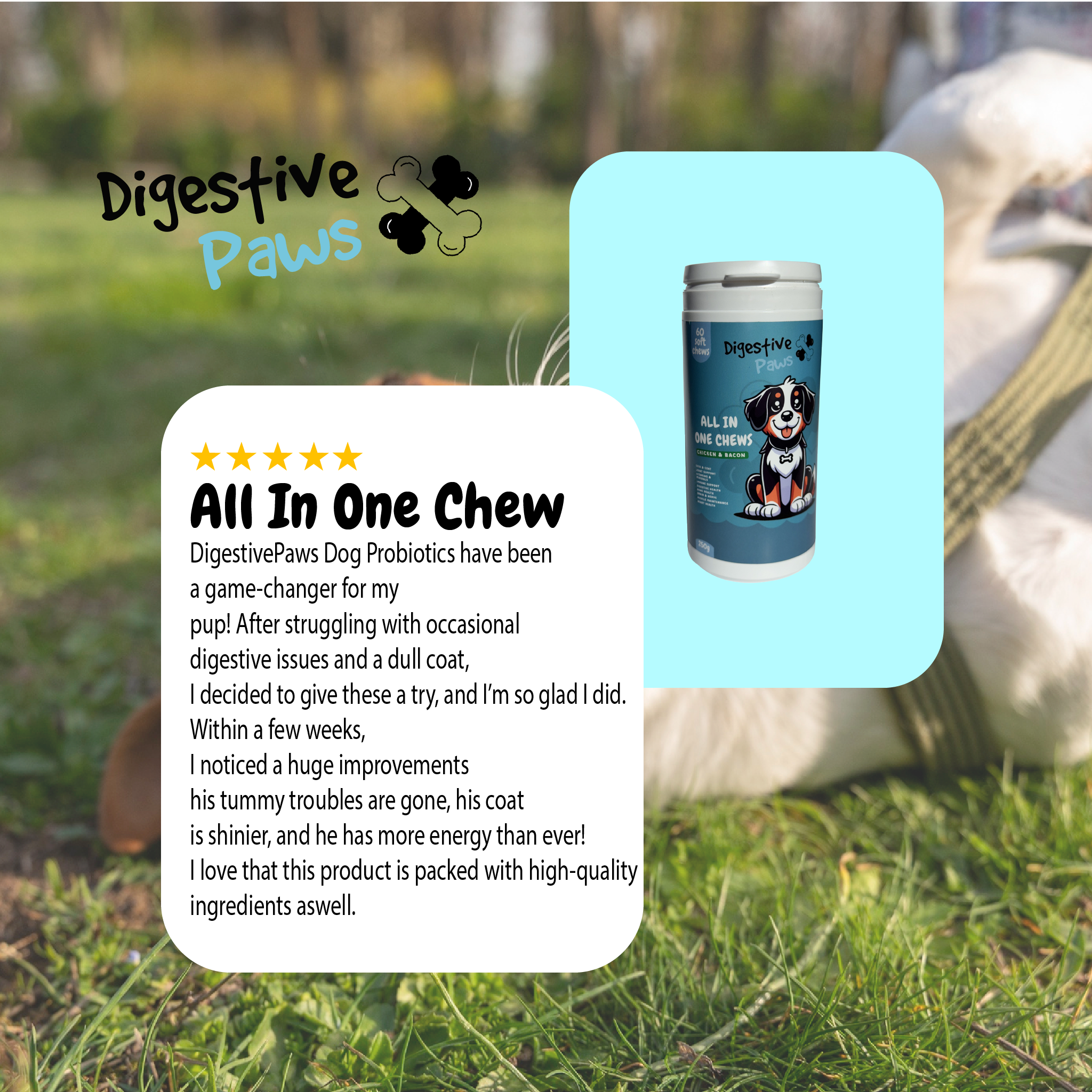 All In One Soft Chews