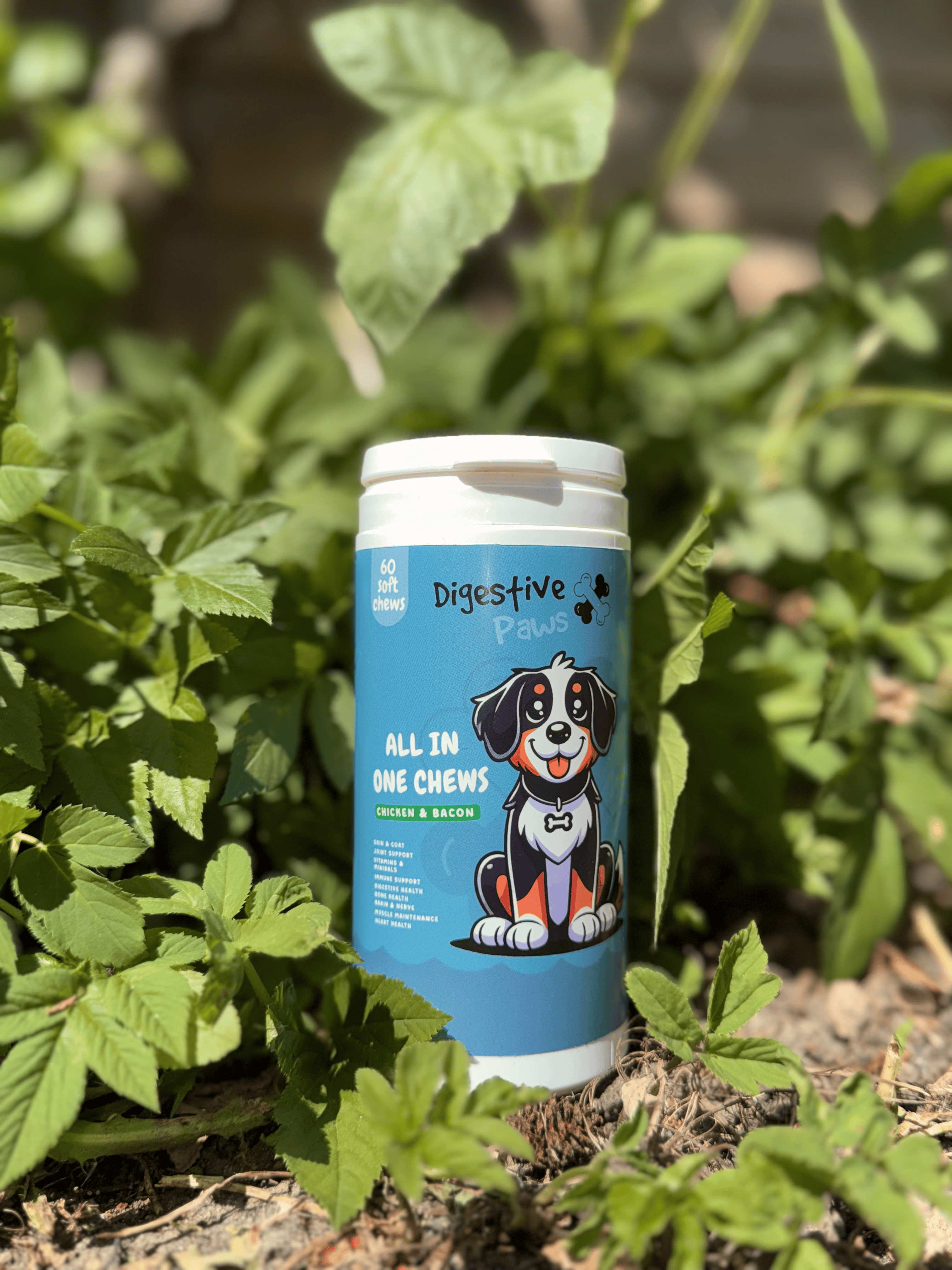 All In One Soft Chews